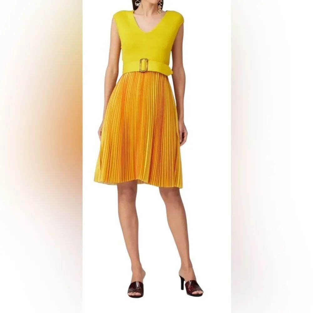 Sachin & Babi Belted Pleated Dress Size Medium